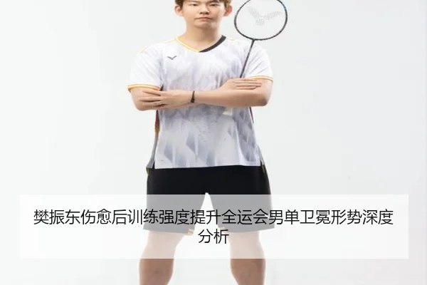 樊振东伤愈后训练强度提升全运会男单卫冕形势深度分析 | bandao